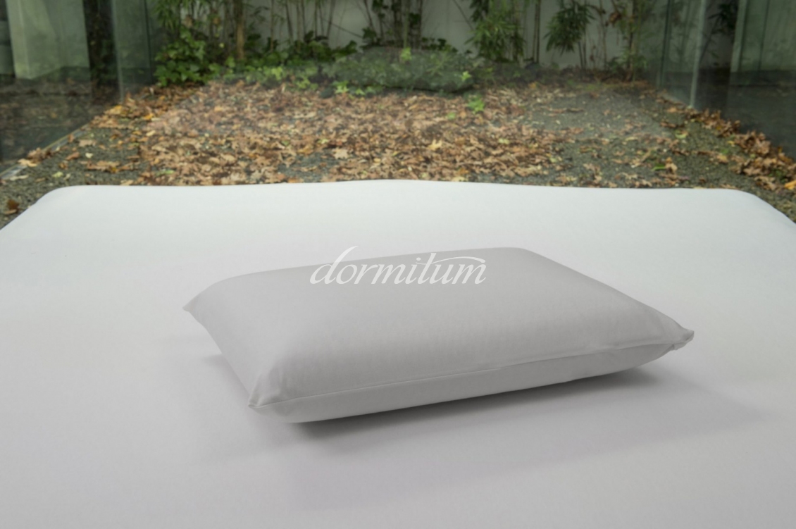 B-Sensible 2 En 1 Waterproof And Breathable Pillowcase | Dormitum